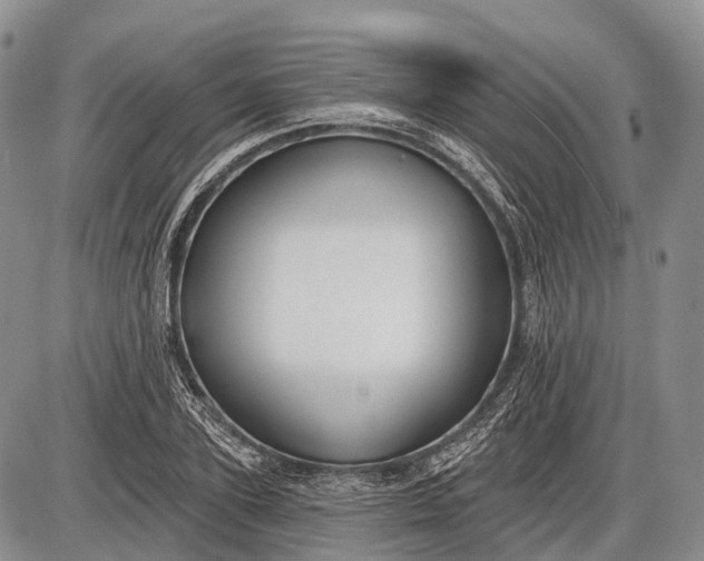 X0000085000931200703191046