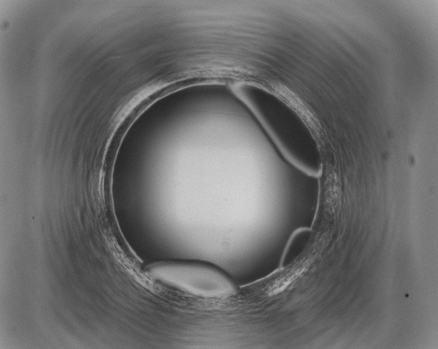 X0000085000932200703191046