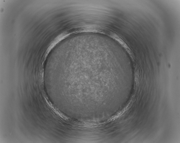 X0000085000933200703191046