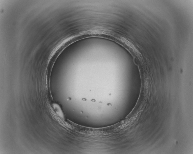 X0000085000934200703191046