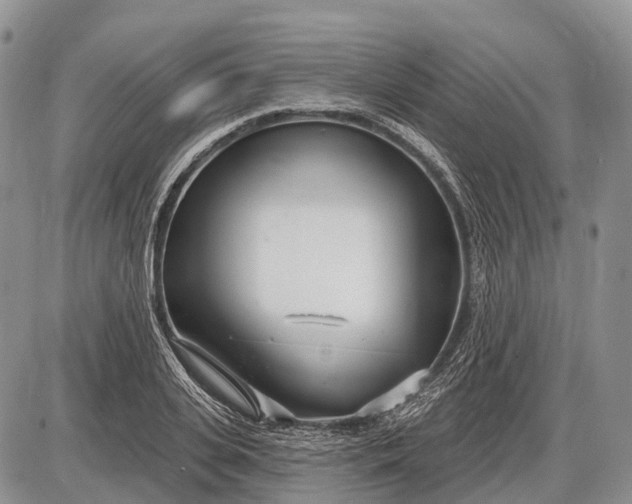 X0000085000935200703191046