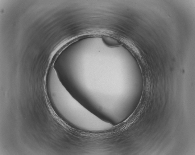 X0000085000936200703191046