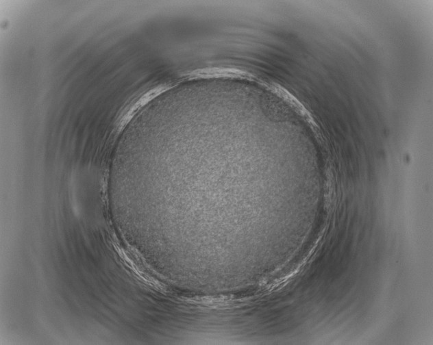 X0000085000937200703191046