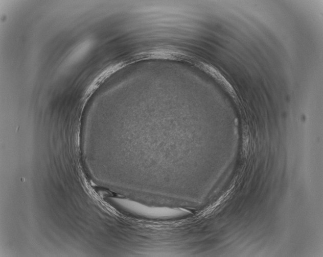 X0000085000938200703191046