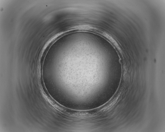 X0000085000939200703191046