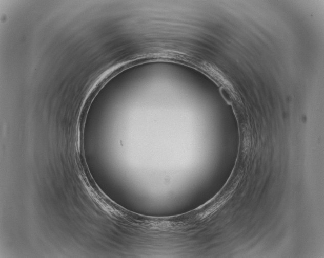 X0000085000940200703191046