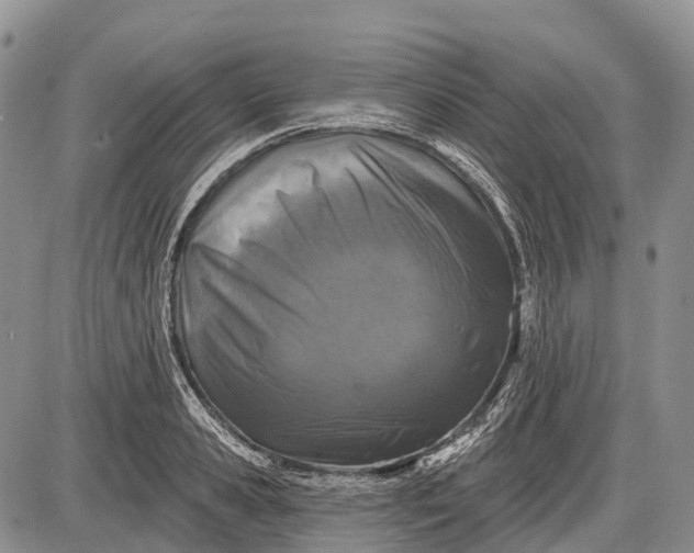 X0000085000941200703191046