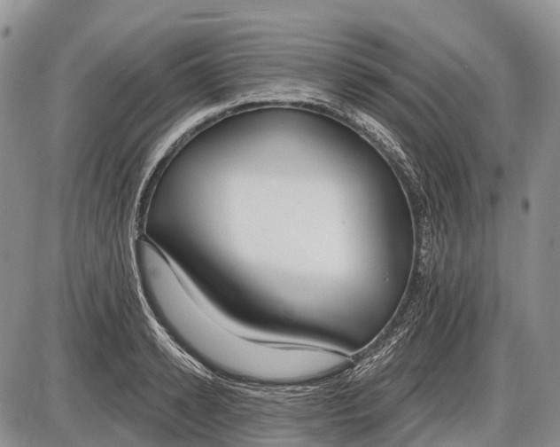 X0000085000942200703191046