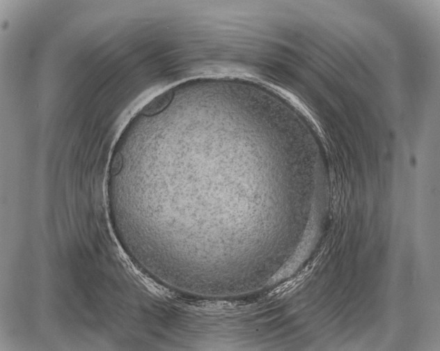 X0000085000943200703191046