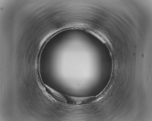 X0000085000944200703191046