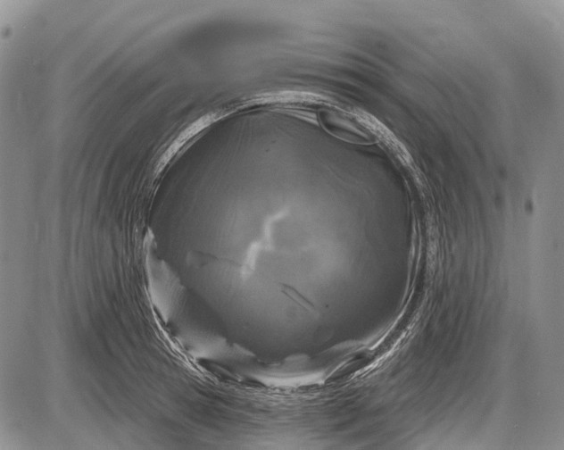 X0000085000945200703191046