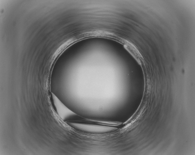 X0000085000946200703191046