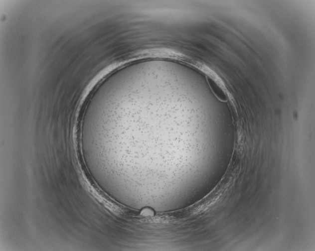 X0000085000947200703191046