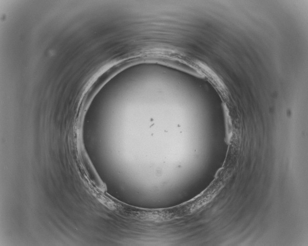 X0000085000948200703191046