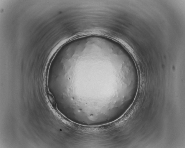 X0000085000949200703191046