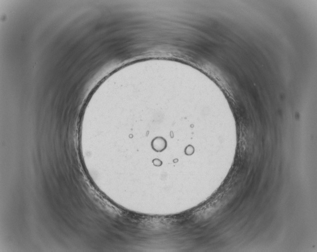 X0000085000950200703191046