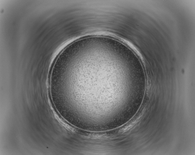 X0000085000951200703191046