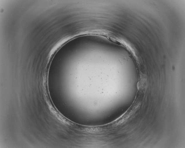 X0000085000952200703191046