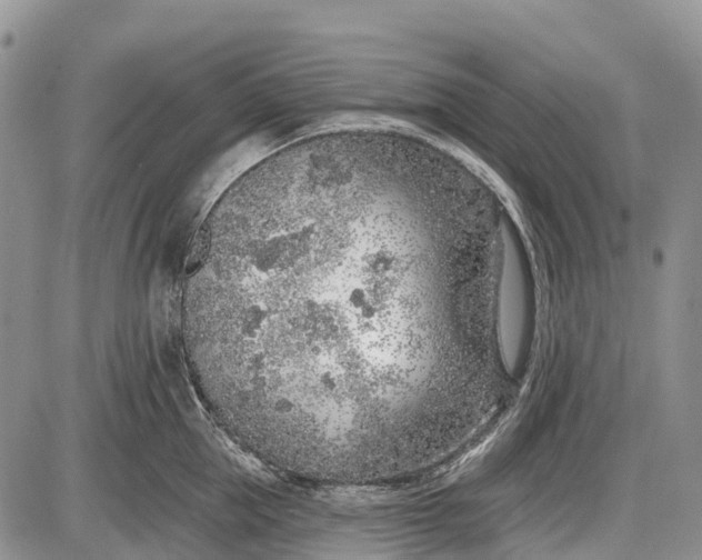 X0000085000953200703191046