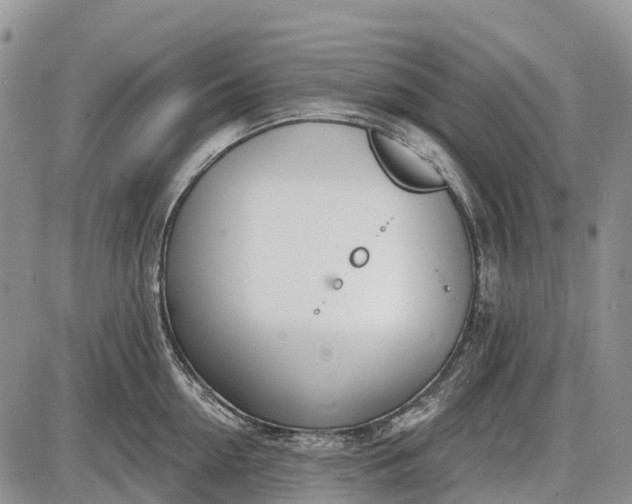 X0000085000954200703191046