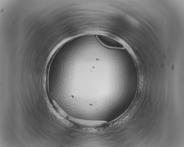 X0000085000955200703191046