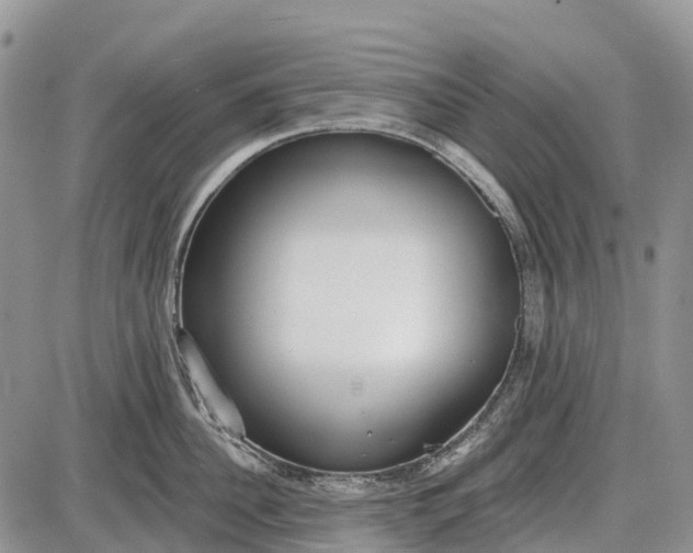 X0000085000956200703191046