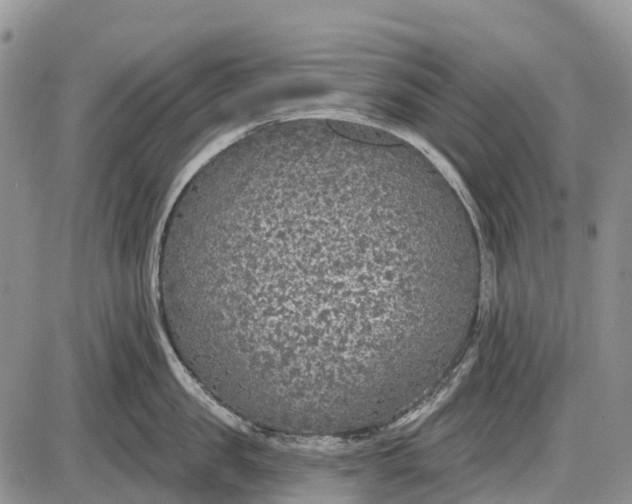 X0000085000957200703191046