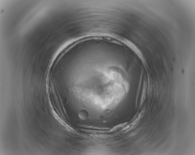 X0000085000958200703191046