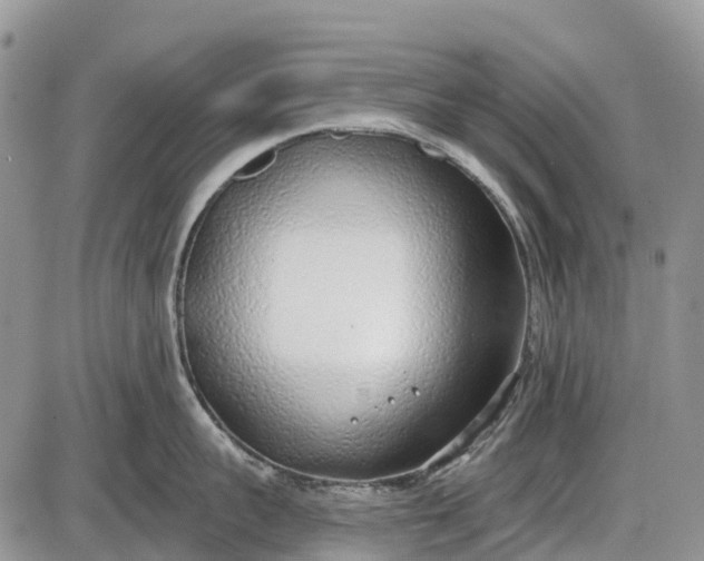 X0000085000959200703191046