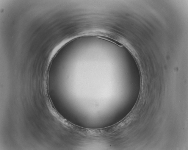 X0000085000960200703191046