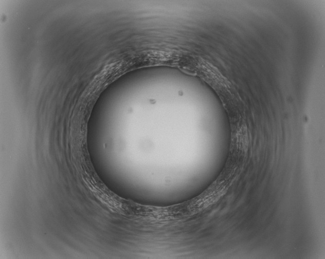 X0000085000961200703191046