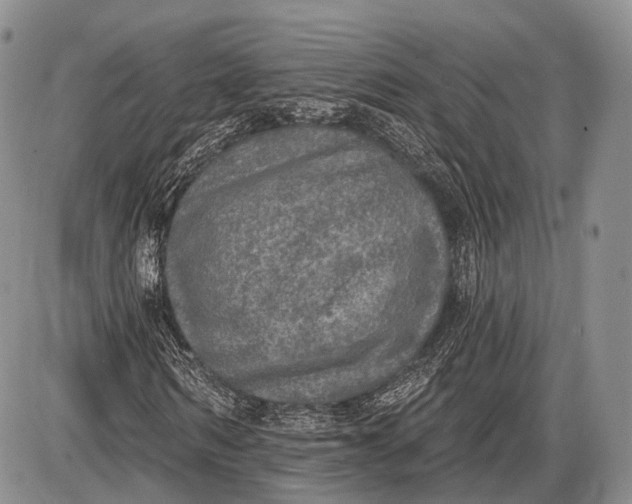 X0000085000962200703191046