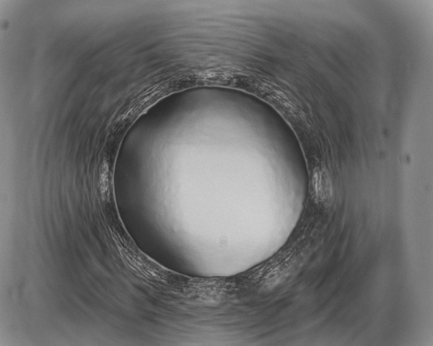 X0000085000963200703191046