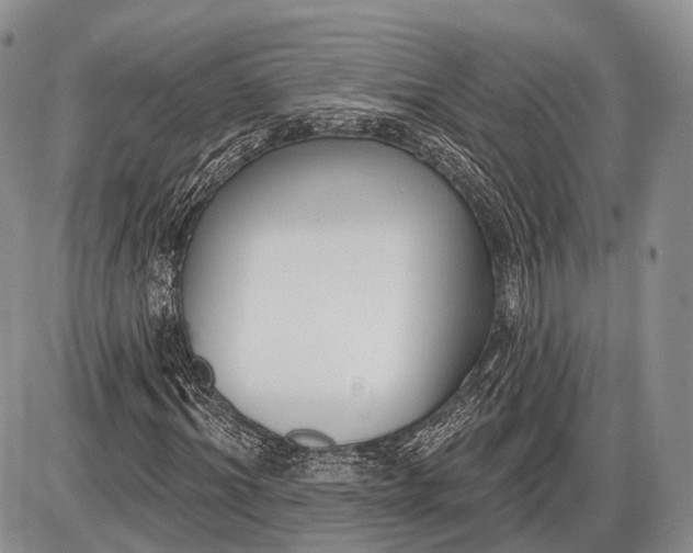 X0000085000964200703191046