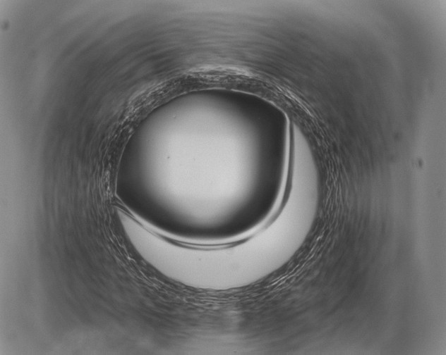 X0000085000965200703191046