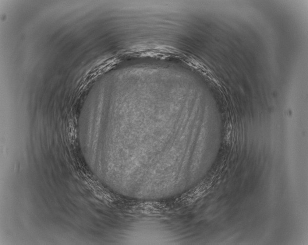 X0000085000966200703191046