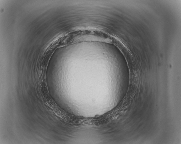 X0000085000967200703191046