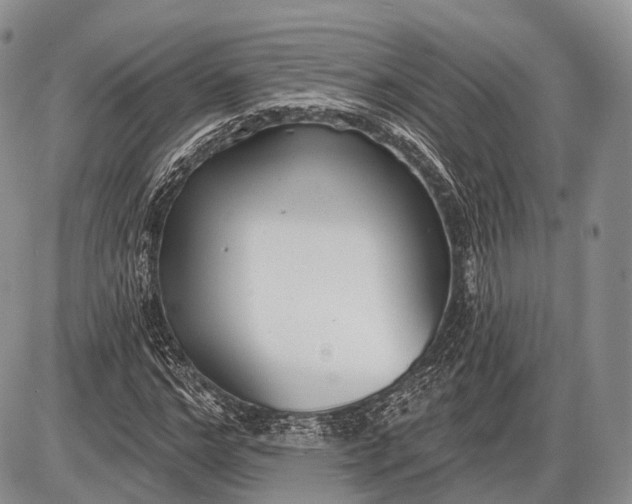 X0000085000968200703191046