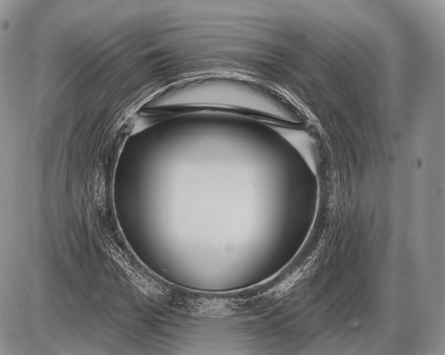 X0000085000969200703191045