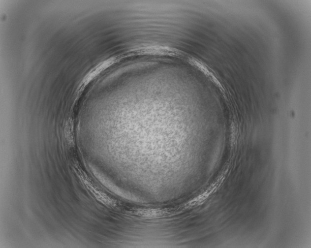 X0000085000970200703191045