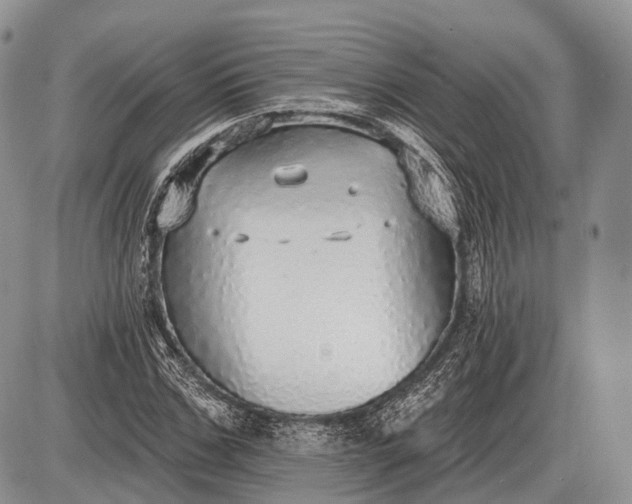 X0000085000971200703191045