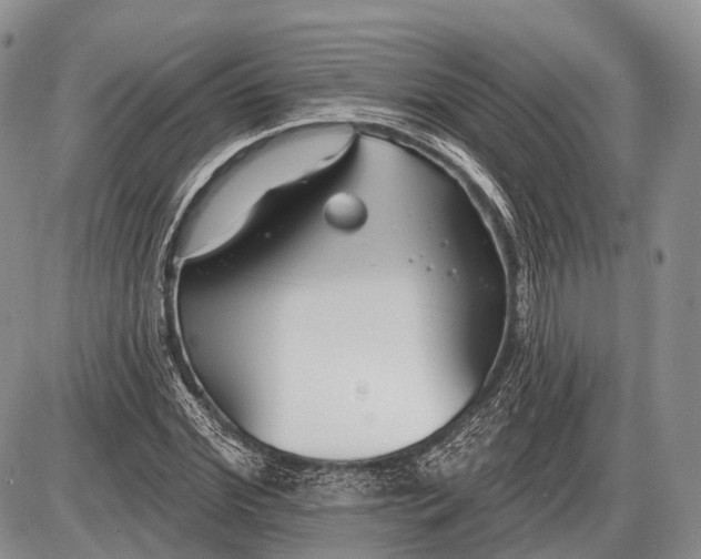 X0000085000972200703191045