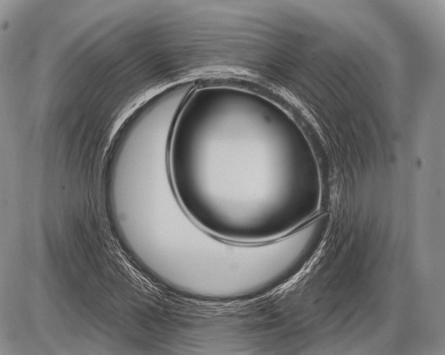 X0000085000973200703191045