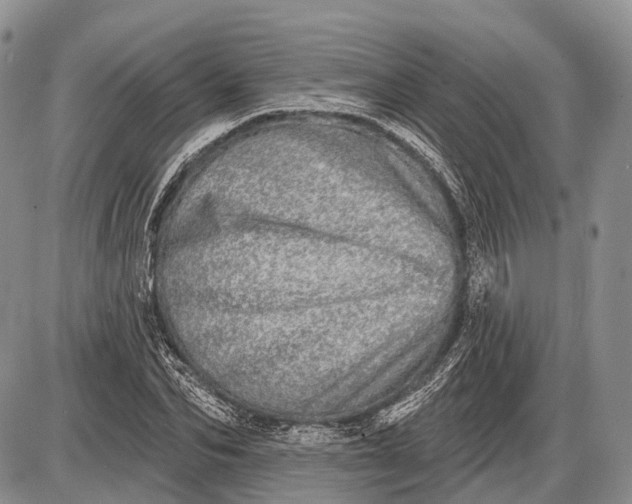 X0000085000974200703191045