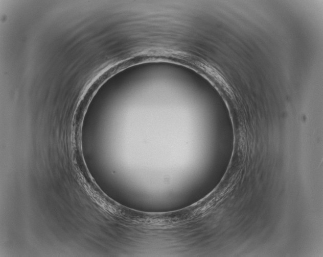 X0000085000976200703191045