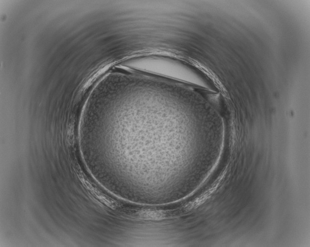 X0000085000977200703191045