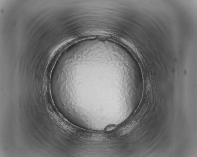 X0000085000979200703191045