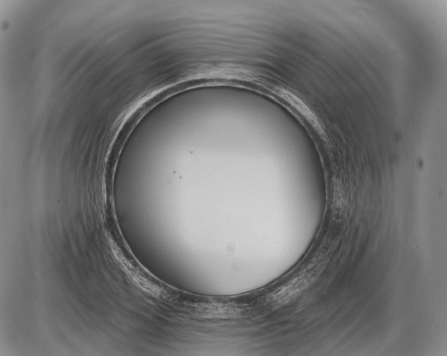 X0000085000980200703191045