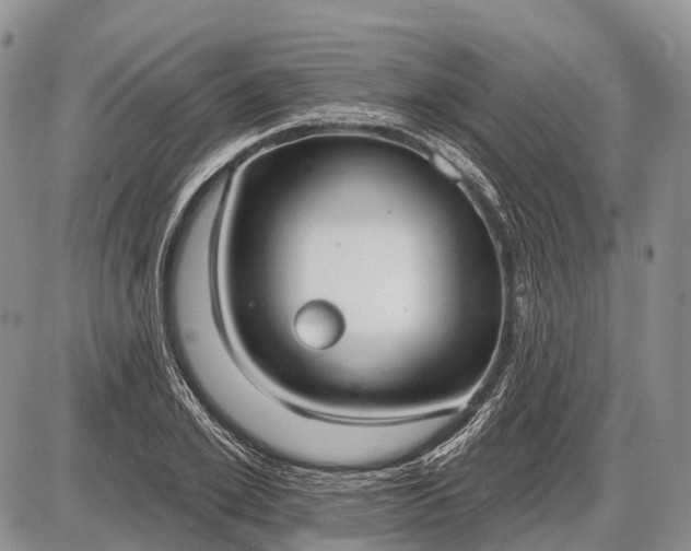 X0000085000981200703191045