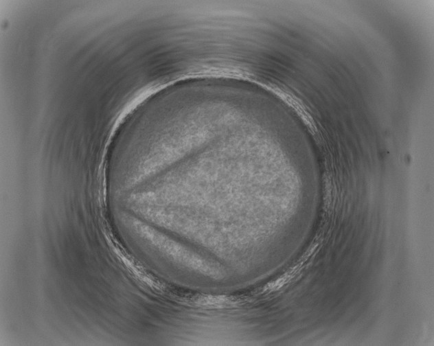 X0000085000982200703191045